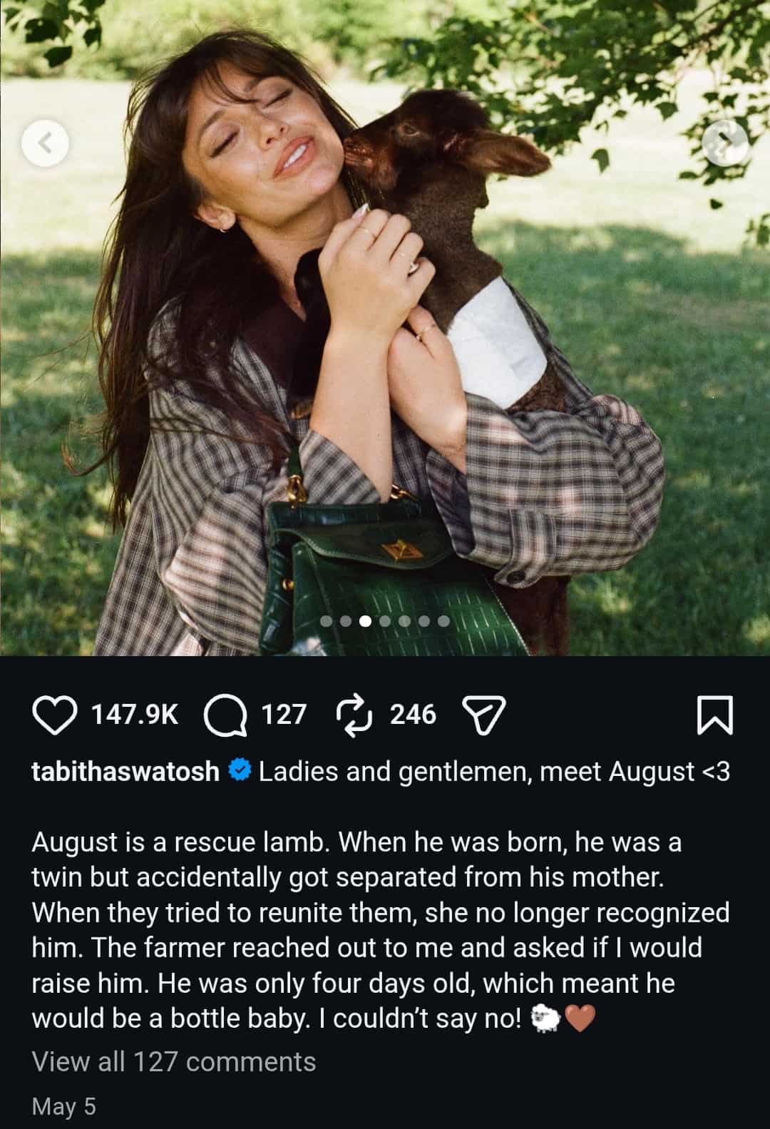 Image - Tabitha Swatosh, is pictured with her pet lamb, August, back in May 2026.